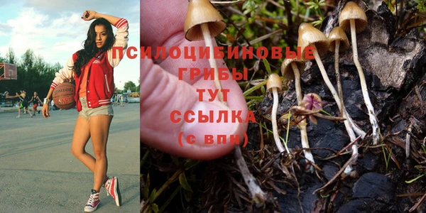 мескалин Михайловск