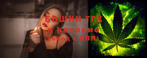 шишки Михайлов