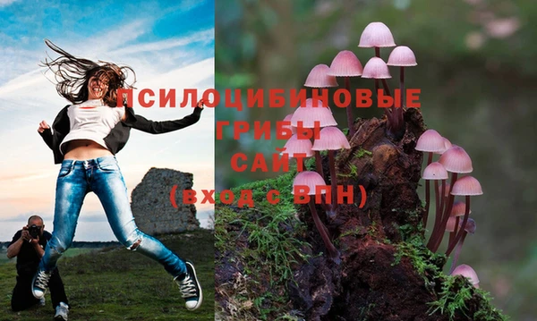 мескалин Михайловск