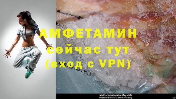 шишки Михайлов