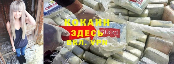 шишки Михайлов