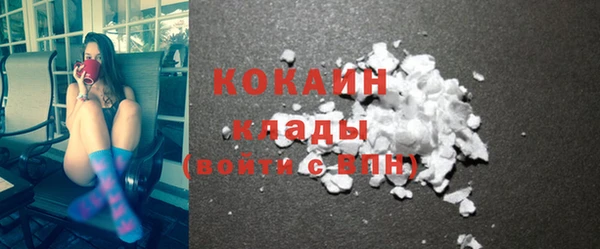 шишки Михайлов