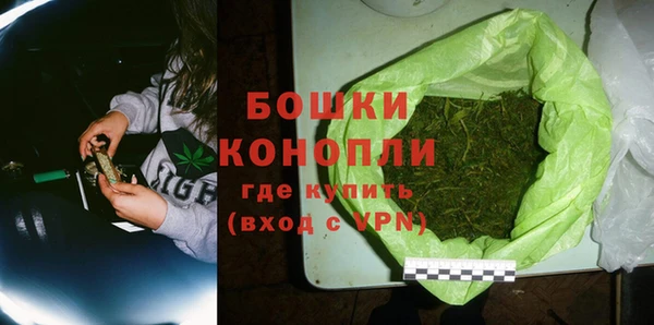 шишки Михайлов