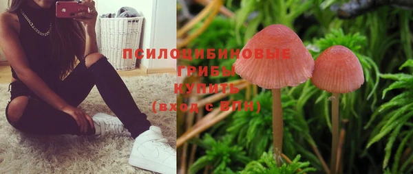 мескалин Михайловск