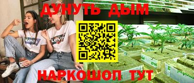 кокс Гатчина