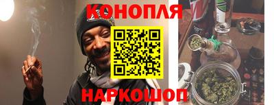 кокс Гатчина