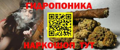 кокс Гатчина