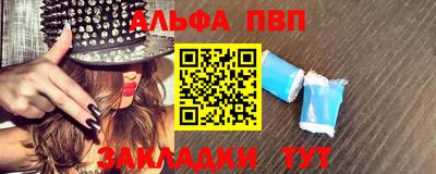 кокс Гатчина