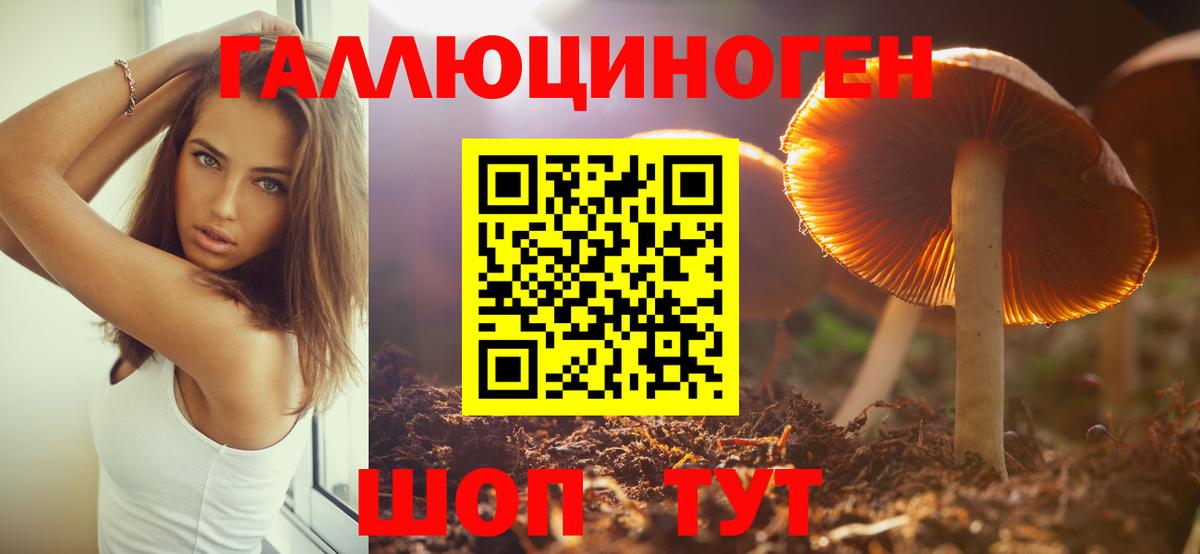 Галлюциногенные грибы Cubensis Череповец