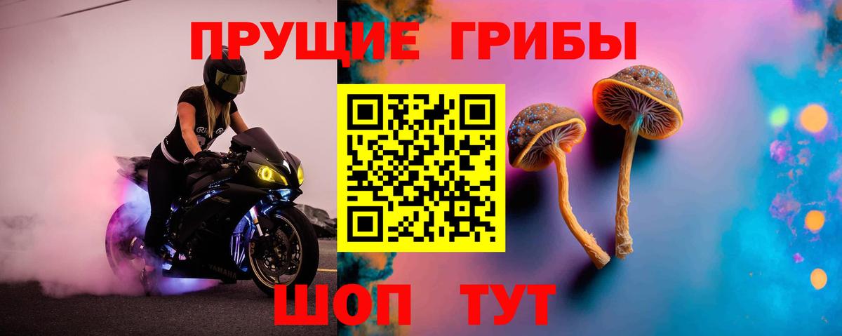 Псилоцибиновые грибы ЛСД  Псилоцибиновые грибы GOLDEN TEACHER  Череповец  Вход с VPN 